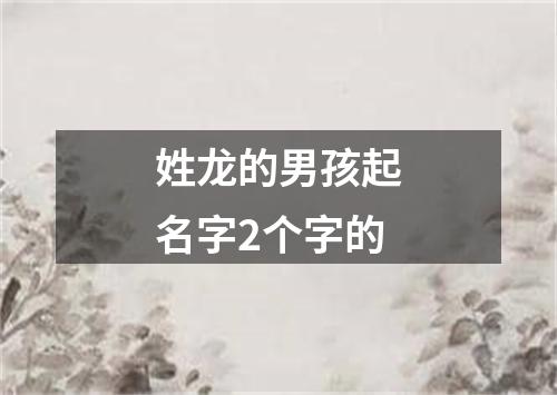 姓龙的男孩起名字2个字的