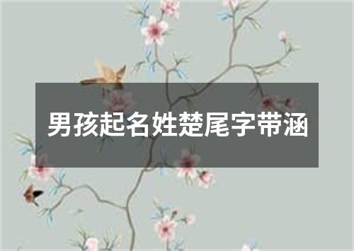 男孩起名姓楚尾字带涵