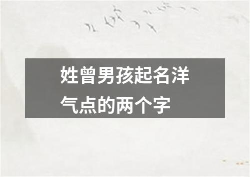 姓曾男孩起名洋气点的两个字