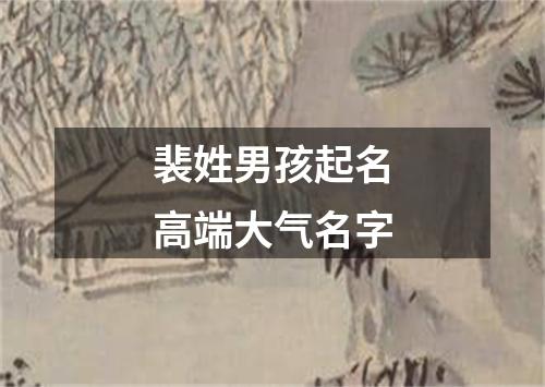 裴姓男孩起名高端大气名字