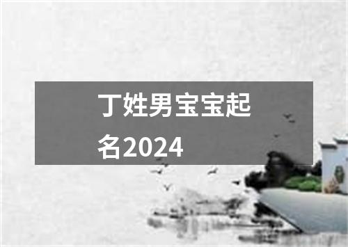 丁姓男宝宝起名2024