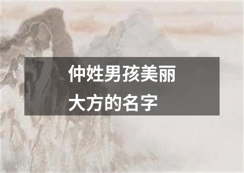 仲姓男孩美丽大方的名字