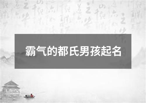 霸气的都氏男孩起名