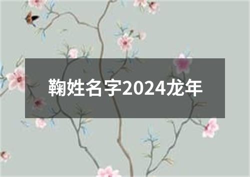 鞠姓名字2024龙年