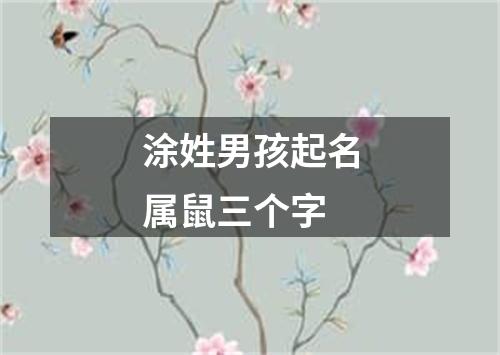 涂姓男孩起名属鼠三个字