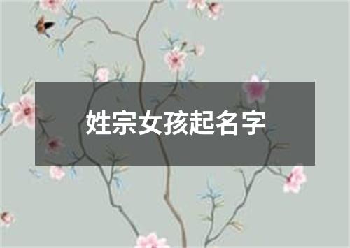 姓宗女孩起名字