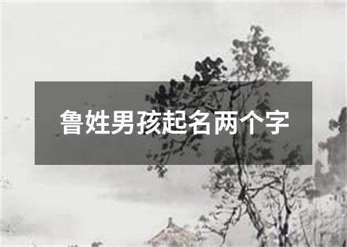 鲁姓男孩起名两个字