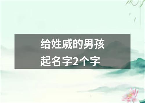 给姓戚的男孩起名字2个字