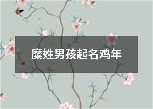 糜姓男孩起名鸡年