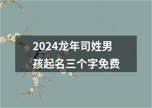 2024龙年司姓男孩起名三个字免费