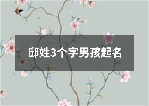 邸姓3个字男孩起名