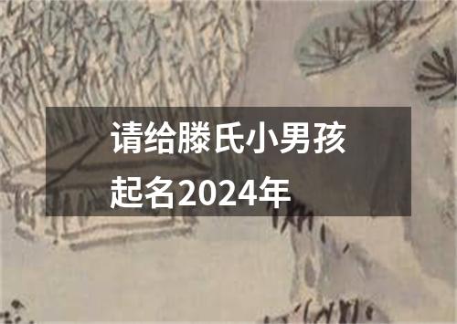 请给滕氏小男孩起名2024年