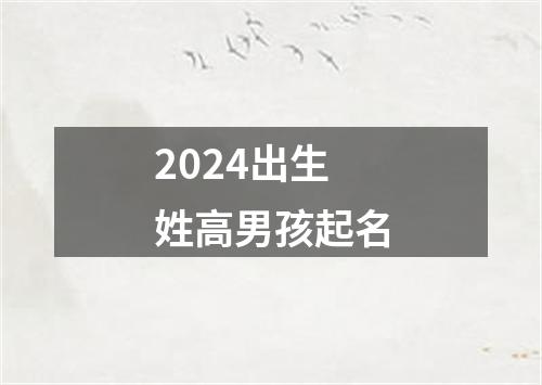 2024出生姓高男孩起名