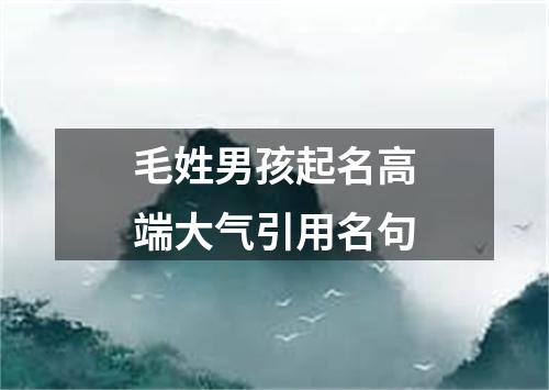 毛姓男孩起名高端大气引用名句