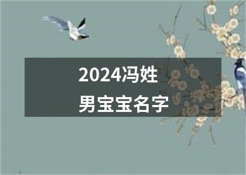 2024冯姓男宝宝名字