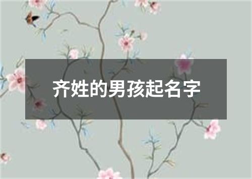 齐姓的男孩起名字