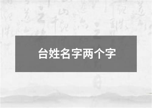 台姓名字两个字