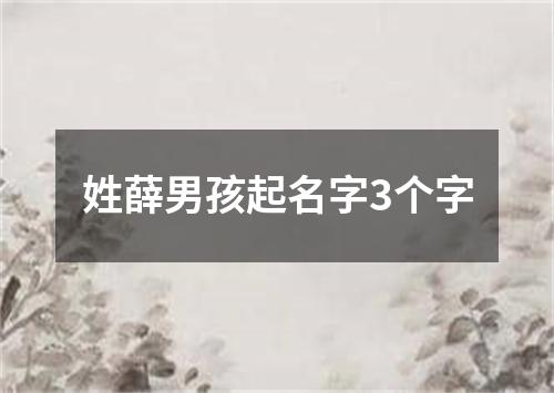 姓薛男孩起名字3个字