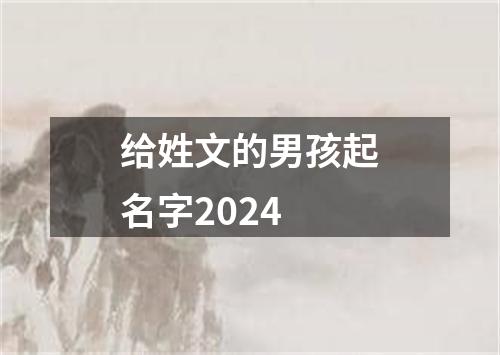 给姓文的男孩起名字2024