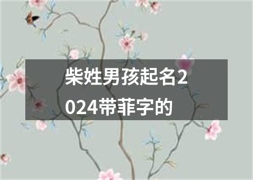 柴姓男孩起名2024带菲字的