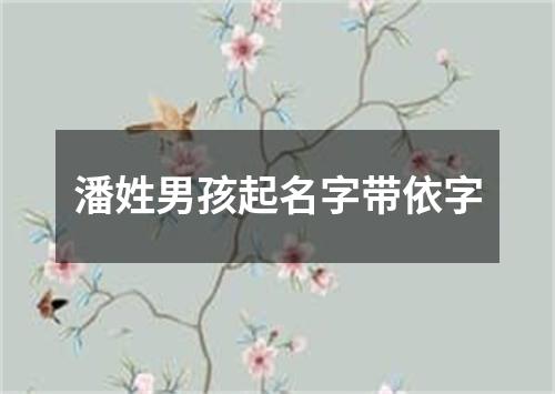 潘姓男孩起名字带依字