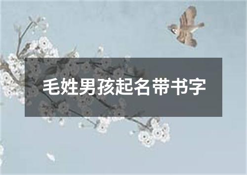 毛姓男孩起名带书字