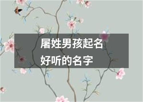 屠姓男孩起名好听的名字