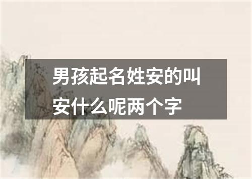 男孩起名姓安的叫安什么呢两个字