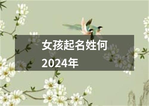 女孩起名姓何2024年