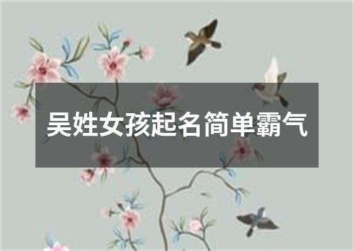 吴姓女孩起名简单霸气