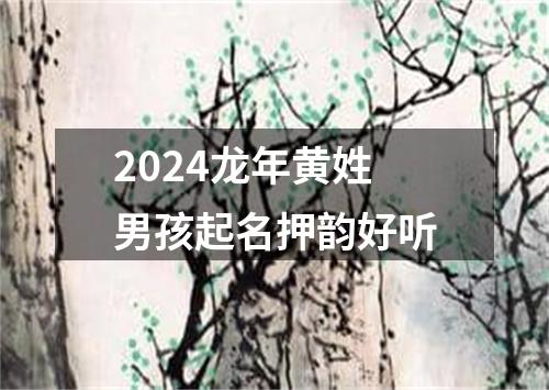 2024龙年黄姓男孩起名押韵好听