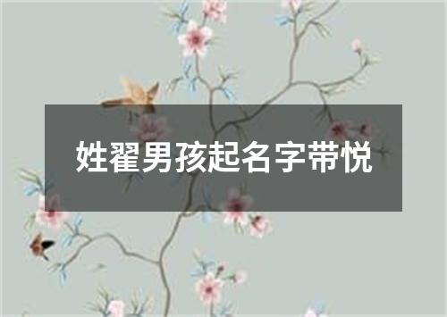 姓翟男孩起名字带悦