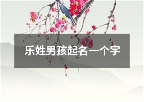 乐姓男孩起名一个字