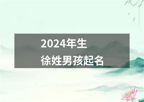 2024年生徐姓男孩起名