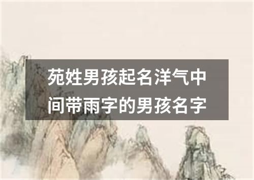 苑姓男孩起名洋气中间带雨字的男孩名字