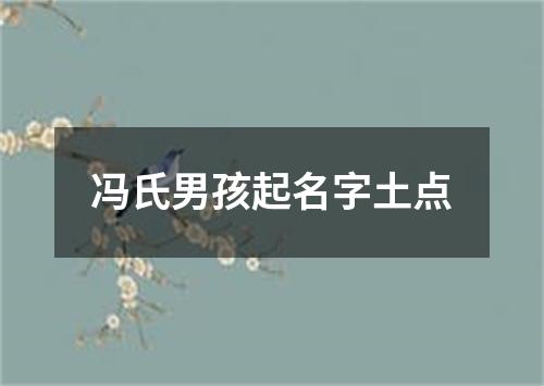 冯氏男孩起名字土点