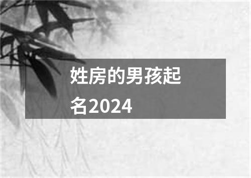 姓房的男孩起名2024