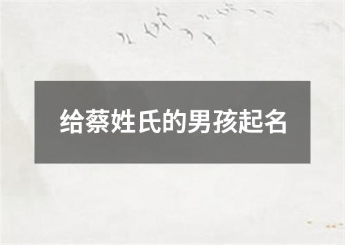 给蔡姓氏的男孩起名