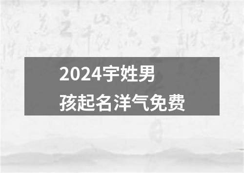 2024宇姓男孩起名洋气免费