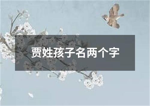 贾姓孩子名两个字