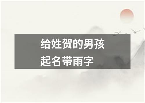 给姓贺的男孩起名带雨字