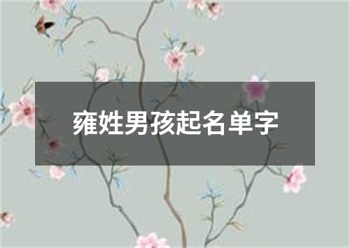 雍姓男孩起名单字