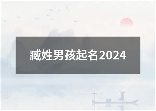 臧姓男孩起名2024