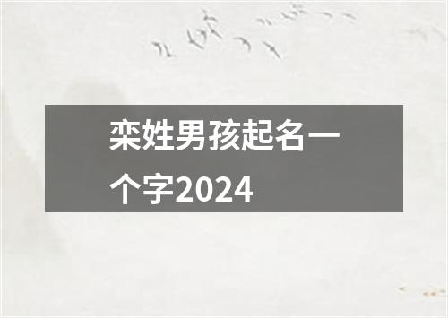 栾姓男孩起名一个字2024