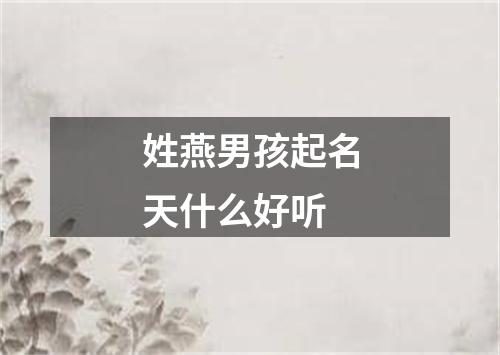 姓燕男孩起名天什么好听