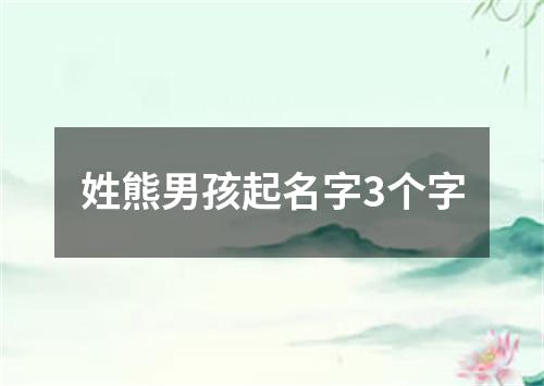 姓熊男孩起名字3个字