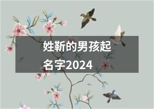 姓靳的男孩起名字2024