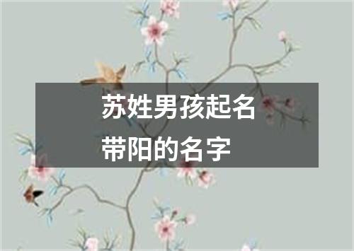 苏姓男孩起名带阳的名字