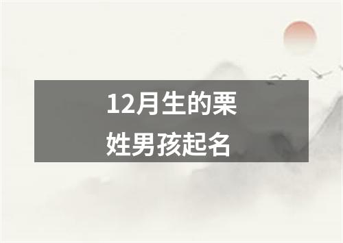 12月生的栗姓男孩起名