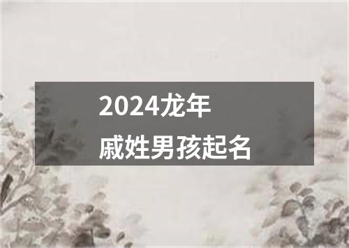 2024龙年戚姓男孩起名